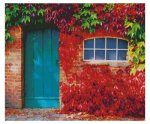 (image for) The Blue Door